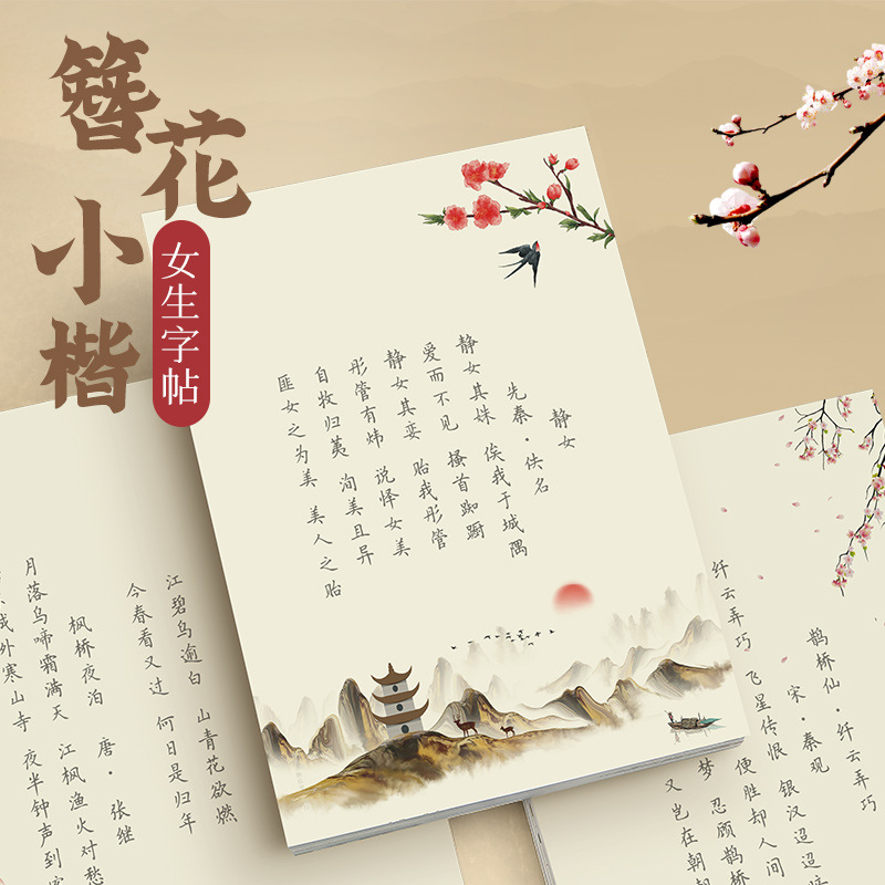 Chinese Calligraphy Practice Book - 헤어핀 플라워 작은 카이 서예 연습장,