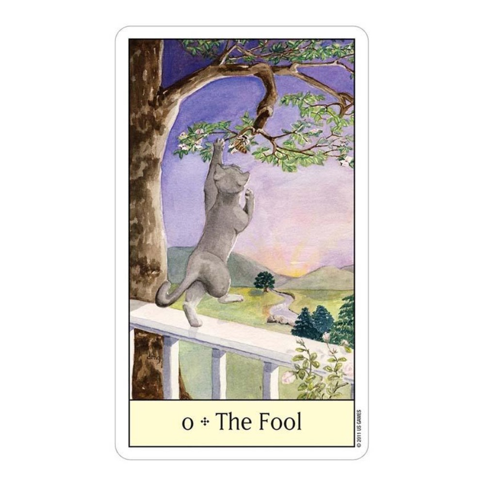 고양이 눈 타로 12x7 cm 카드 게임 - Tarot Deck With Guidebook 리뷰 및 가격