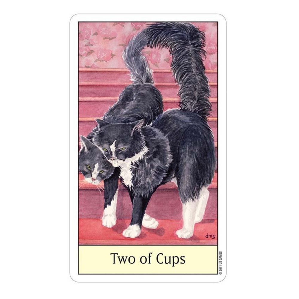 고양이 눈 타로 12x7 cm 카드 게임 - Tarot Deck With Guidebook 리뷰 및 가격
