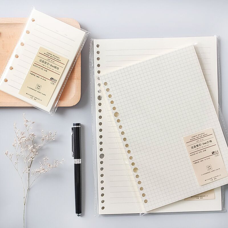 A5 B5 라인 그리드 20 홀 루스 리프 노트 리필  - A5 Spiral Dotted Grid Notebook 리뷰 및 가격
